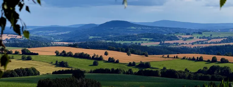 Naturlandschaft mit Feld und Bäumen
