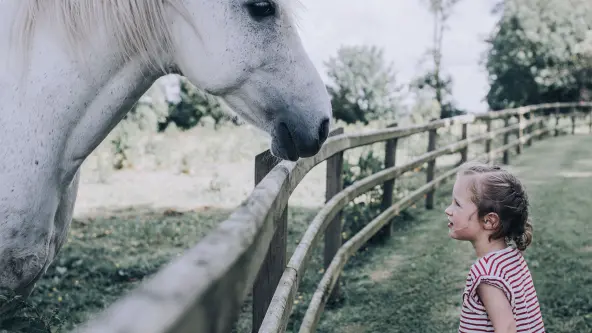 Kleines Mädchen steht vor einem großen weißen Pferd das auf einer grünen Weide steht