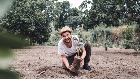 Mann mit Hut pflanzt einen Baum ein