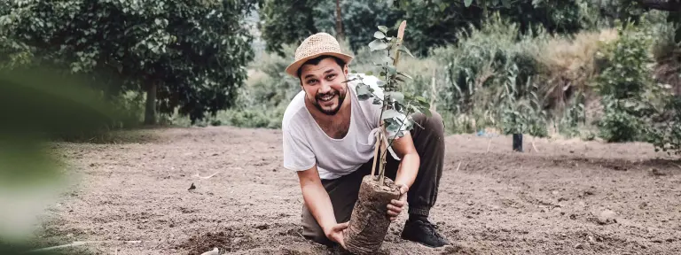 Mann mit Hut pflanzt einen Baum ein