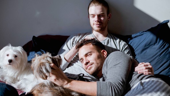 Junges Paar liegt im Bett und streichelt 2 Hunde