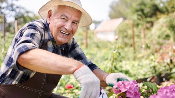 Älterer Mann mit Hut bei Gartenarbeit