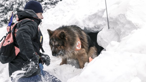 Mann und Hund bei einer Lawinenrettung im tiefen Schnee