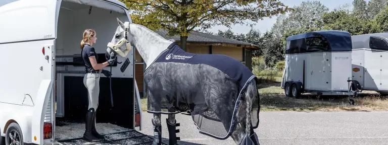 Ein Pferd wird von einer Reiterin in einen Pferdeanhänger für den Transport geführt