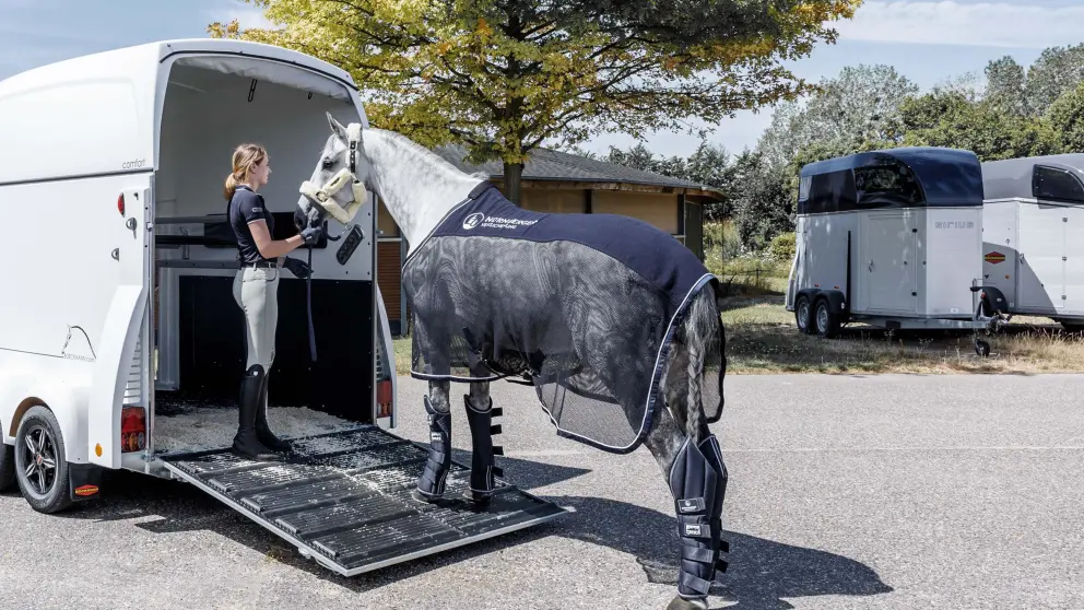 Ein Pferd wird von einer Reiterin in einen Pferdeanhänger für den Transport geführt