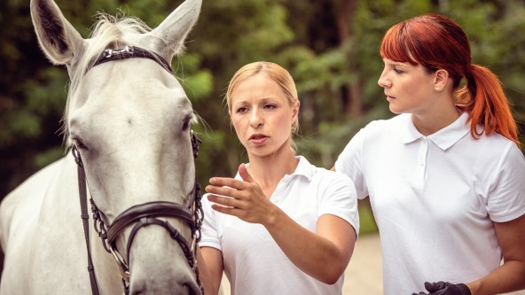2 Frauen stehen neben ihrem weißen Pferd
