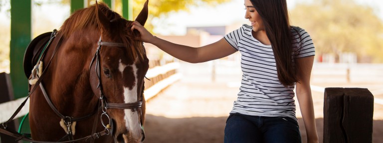 Mädchen streichelt ihr braunes Pferd