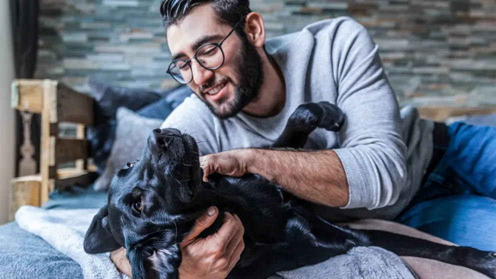 Mann streichelt auf dem Rücken liegenden Hund