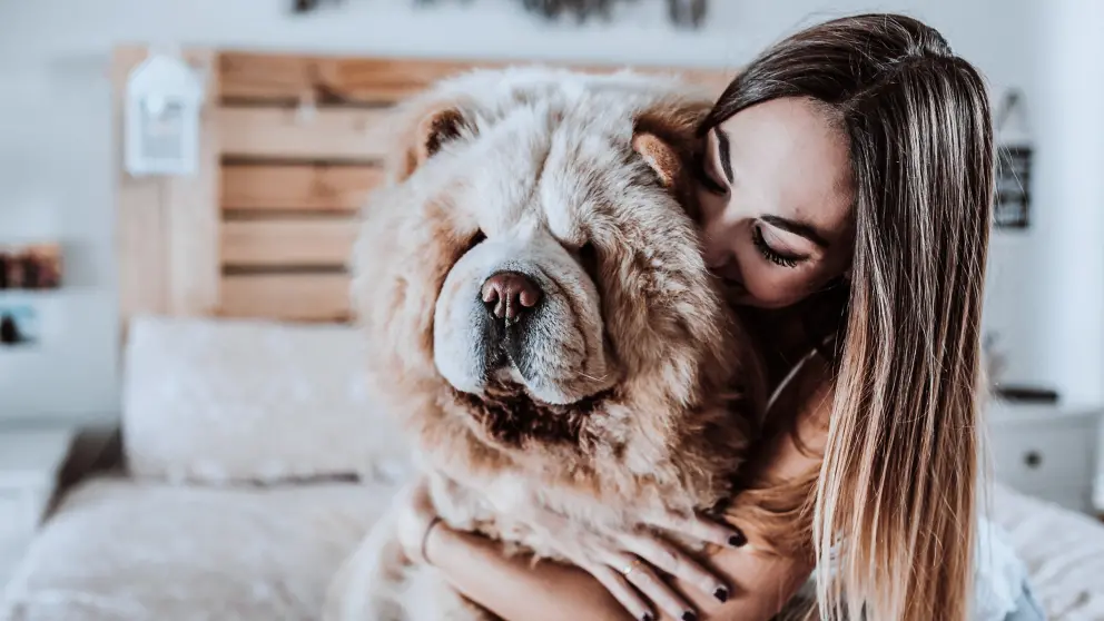 Frau umarmt einen Hund mit dichtem Fell